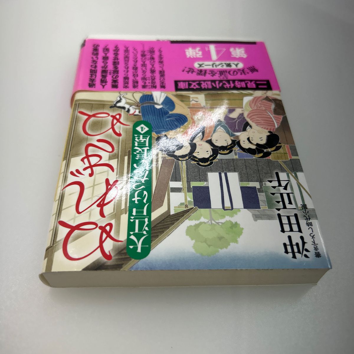 ぬれぎぬ （二見時代小説文庫　お３－３０　大江戸けったい長屋　４） 沖田正午／著