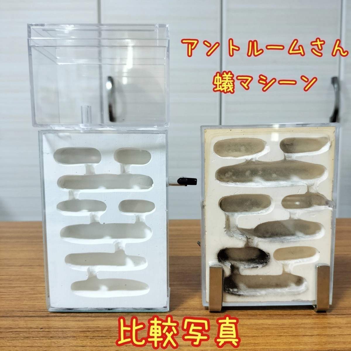 【残り4つ】■アリの巣■　（石膏巣+餌場付）　蟻マシーン　アリ飼育　アリの飼育　観察　石膏　蟻の飼育　蟻の石膏巣　　_画像5