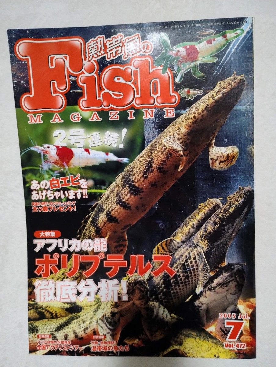 熱帯魚のfish MAGAZINE 雑誌 ポリプテルス