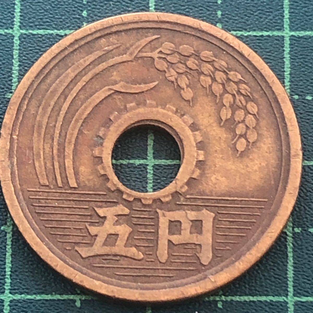 昭和27年 5円黄銅貨 小穴ズレエラー 美品 エラーコイン　フデ5_画像4
