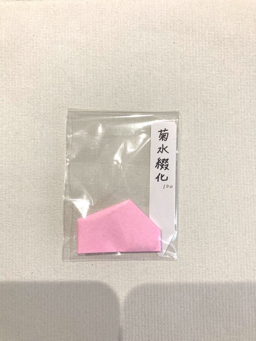 サボテン 多肉植物 菊水綴化 種子 100粒_画像3