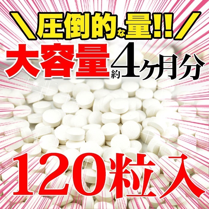 プロテオグリカン サプリメント サプリ 美容 コラーゲンとプラセンタ配合 約4ヵ月分 〔120日分×1袋〕 〔メール便出荷〕_画像2