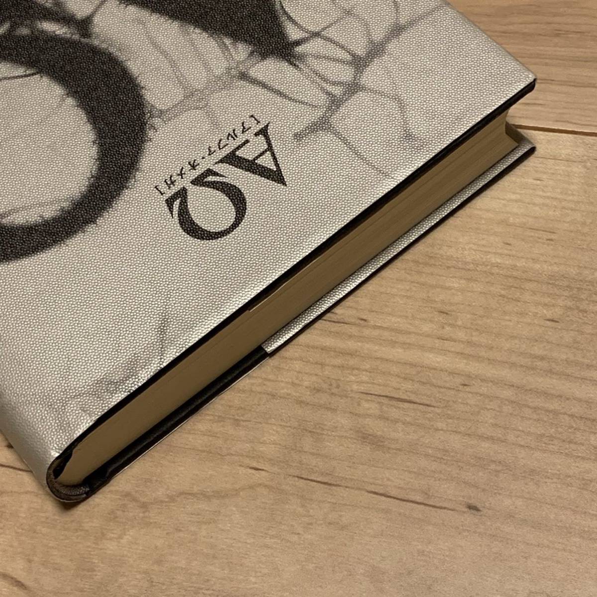 希少 初版帯付 小林泰三 ΑΩ アルファ オメガ 角川書店刊 超 希少 初版帯付 小林泰三 ΑΩ アルファ オメガ 角川書店刊 超