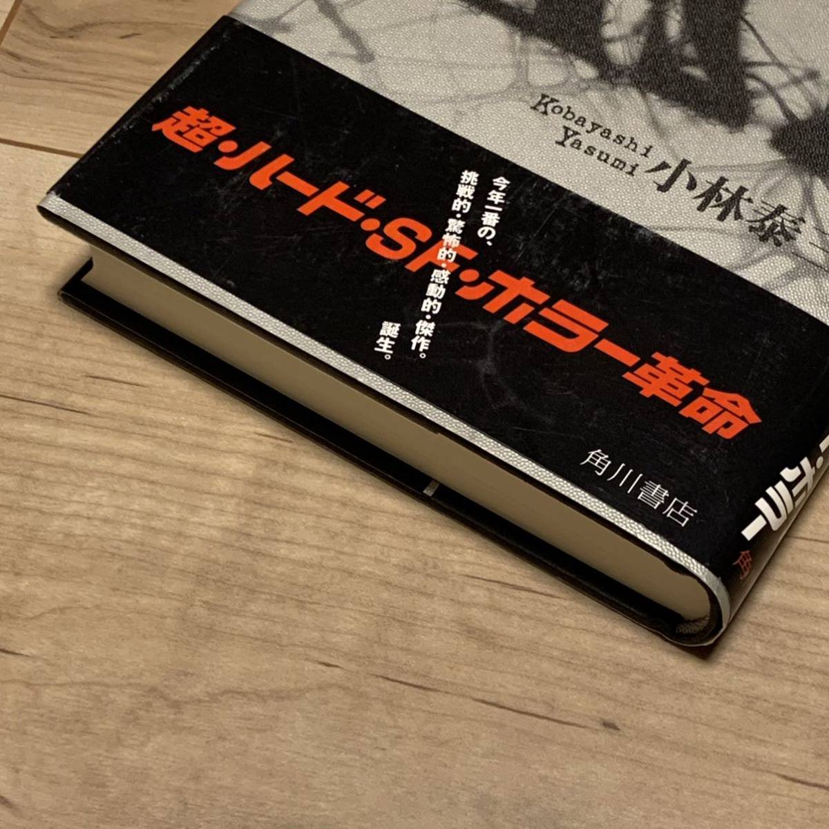 希少 初版帯付 小林泰三 ΑΩ アルファ オメガ 角川書店刊 超 希少 初版帯付 小林泰三 ΑΩ アルファ オメガ 角川書店刊 超