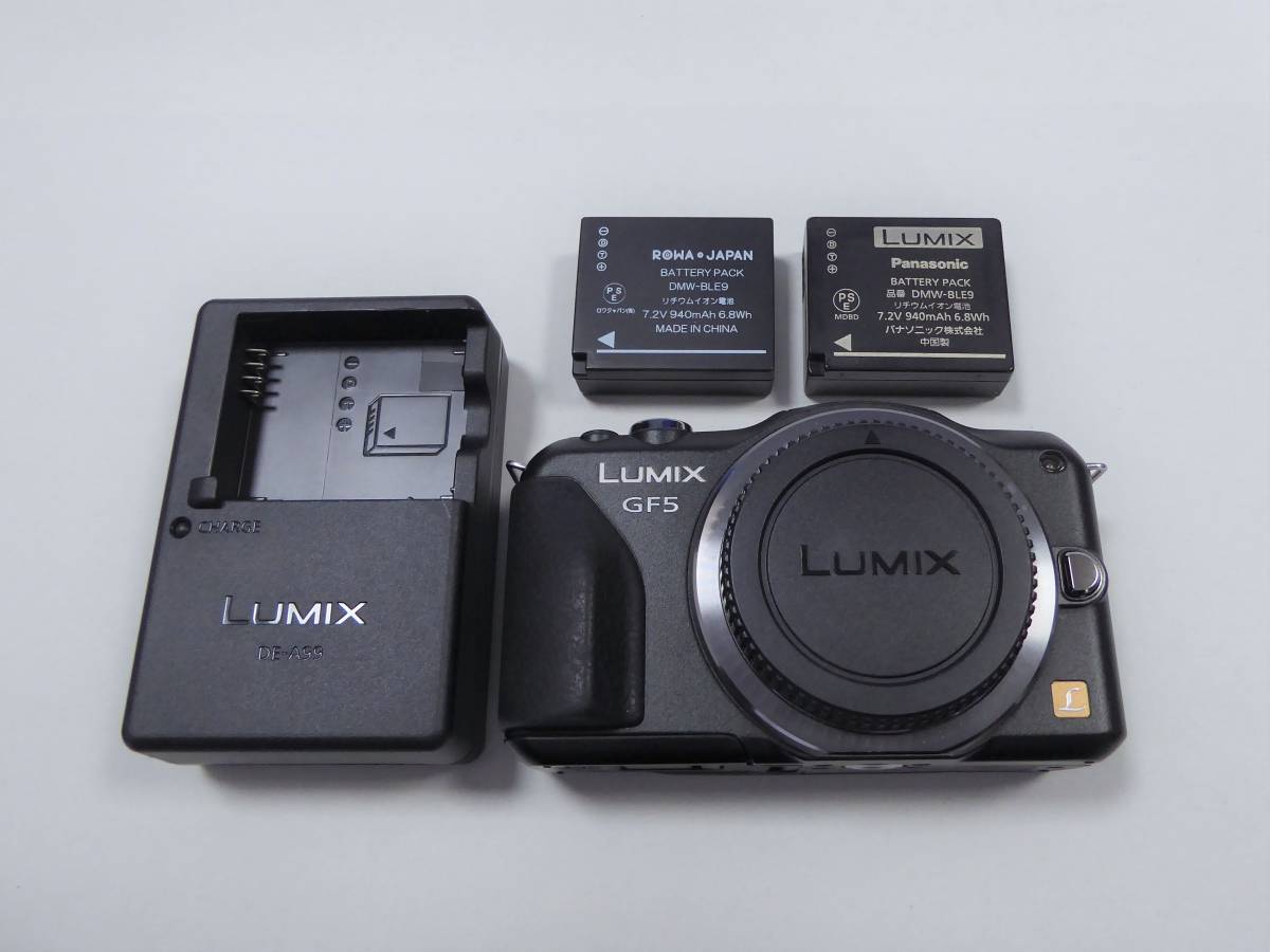Panasonic LUMIX DMC-GF5_画像1
