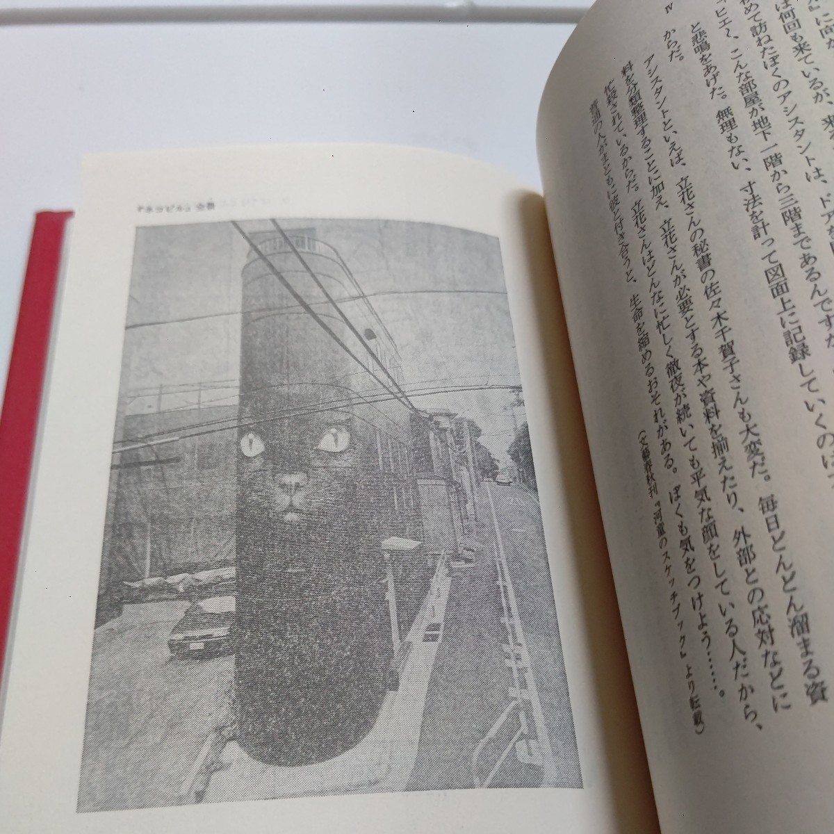 美品 立花式読書論 読書術 書斎術 ぼくはこんな本を読んできた 立花隆 実戦的読書法 ネコビルの内部 本の整理学、瞠目の読書遍歴　全公開！