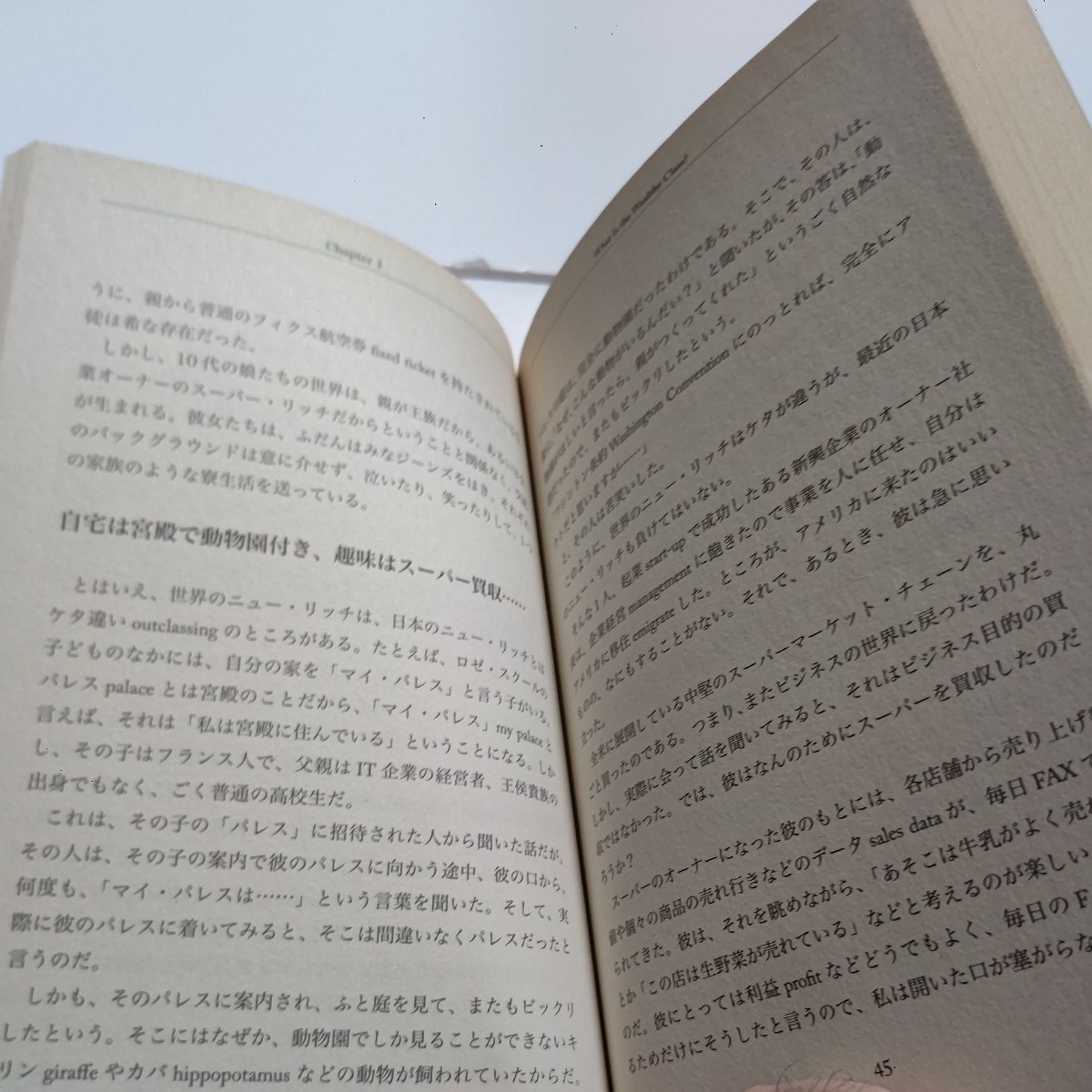 美品　ニュー・リッチの世界　超富裕層の生活、世界。国内国外を問わず富裕層たちから見聞きした経験をもとに、彼らの意識に迫る　臼井宥文