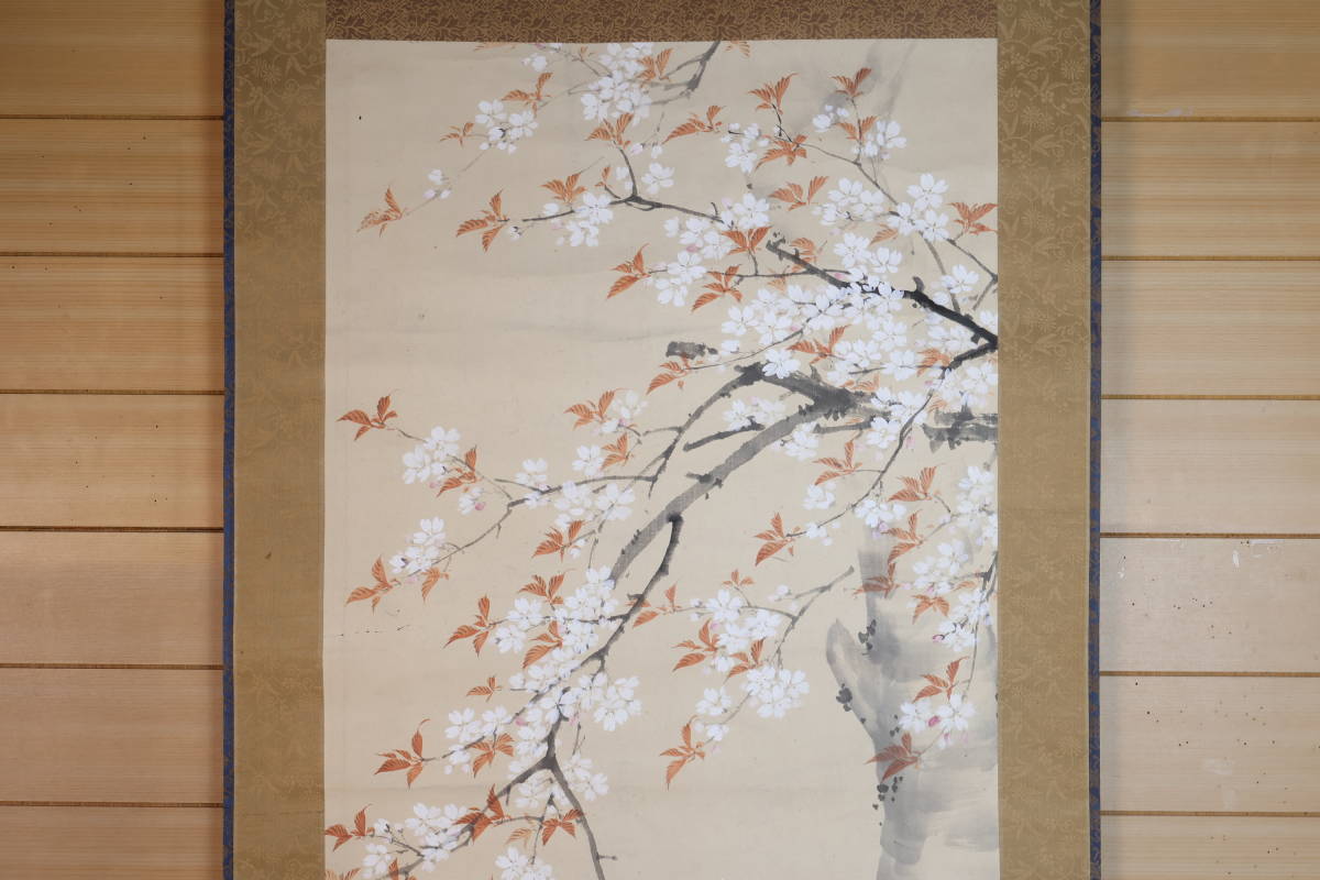 【掛軸】〈松村呉村〉『桜図』（紙本肉筆） 中国画 人物図 山水図 花鳥図 日本 時代物 古画 掛け軸日本図2-57_画像3