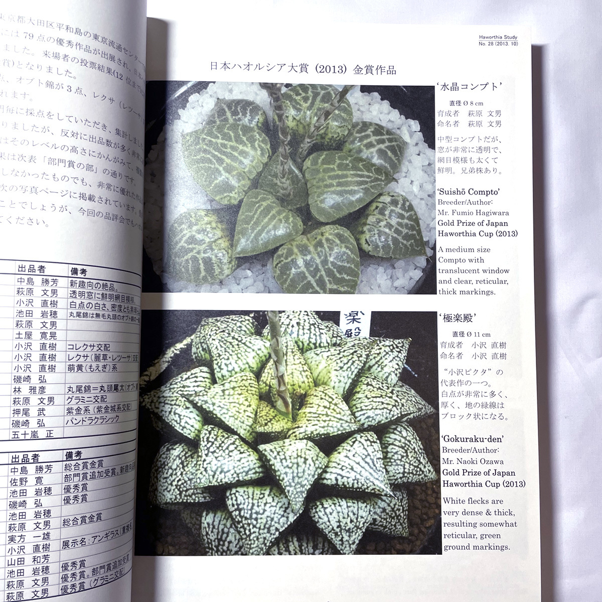 【多肉植物・本】ハオルシア品種名総覧 / Haworthia ハオルチア 書籍 図鑑 本_画像3