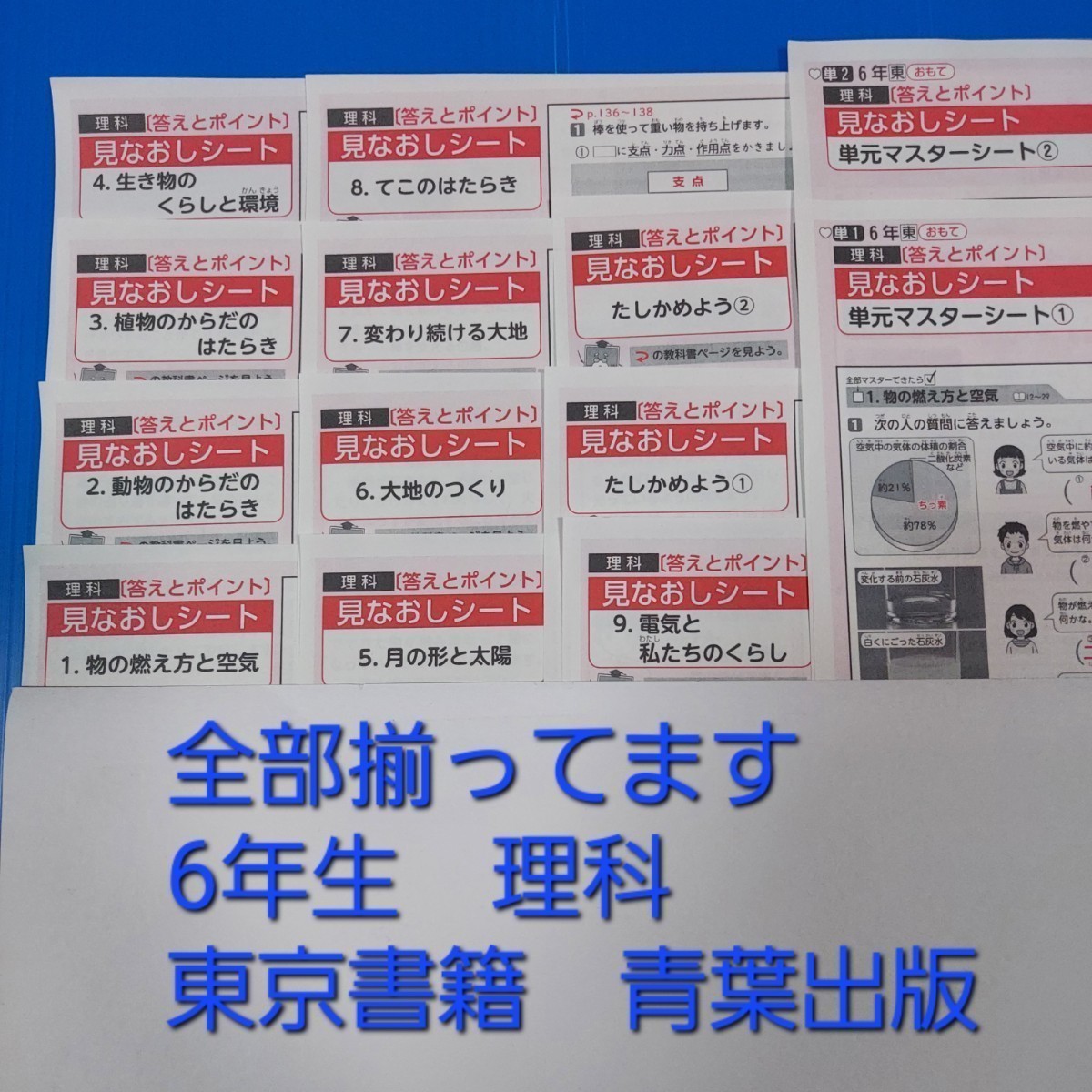 2022〜2023年　最新　小学6年生　見なおしシート　理科　13枚　通知表対策　内申点対策　解答　カラーテスト　受験 まとめ　予習復習　小６_画像1