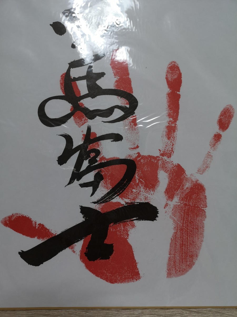 新品】稀勢の里 日馬富士 手形 サイン色紙 両国国技館前売店販売 新品】稀勢の里 日馬富士 手形 サイン色紙 両国国技館前売店販売