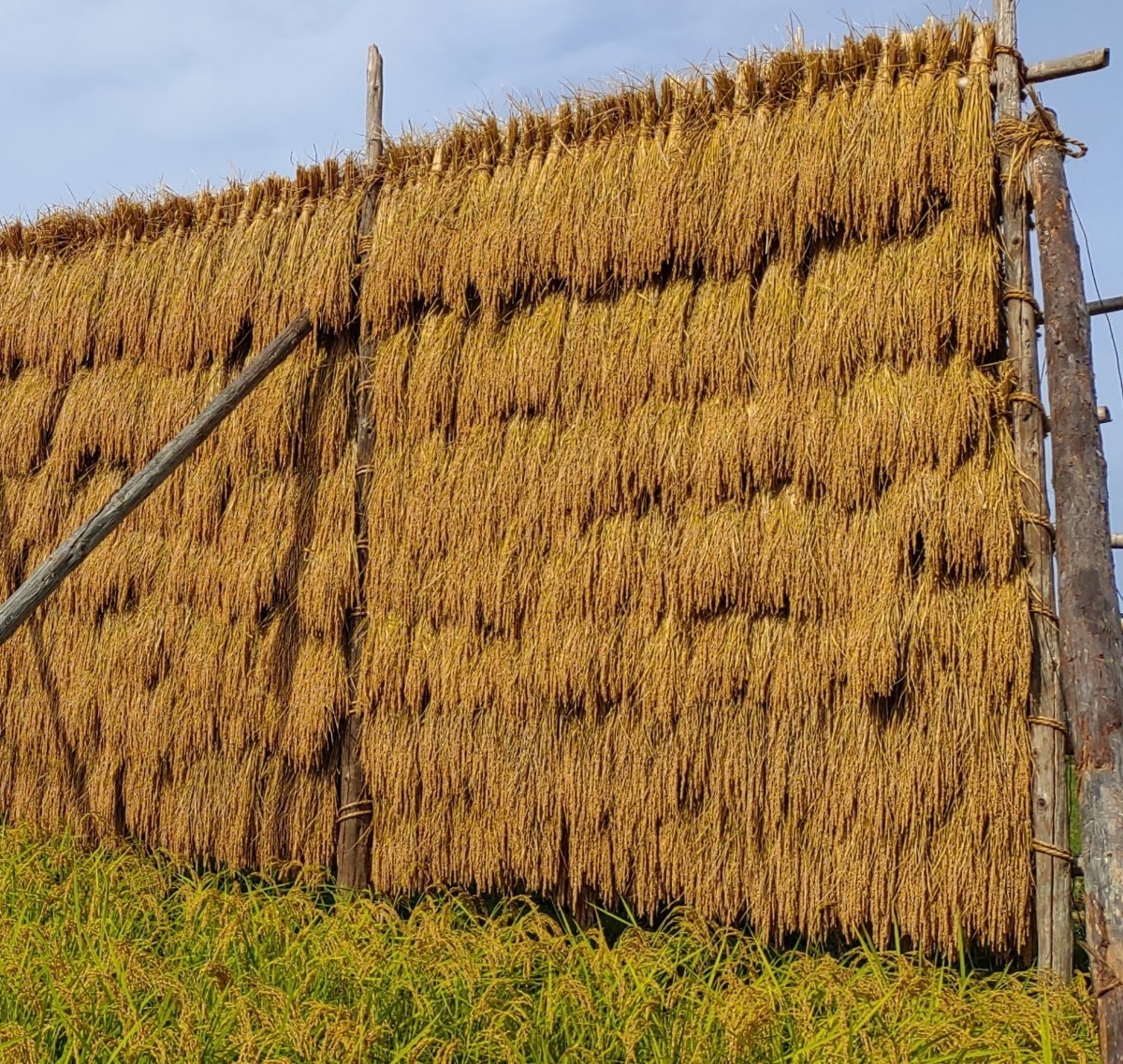  rice ..*5 kilo * nukazuke and so on 