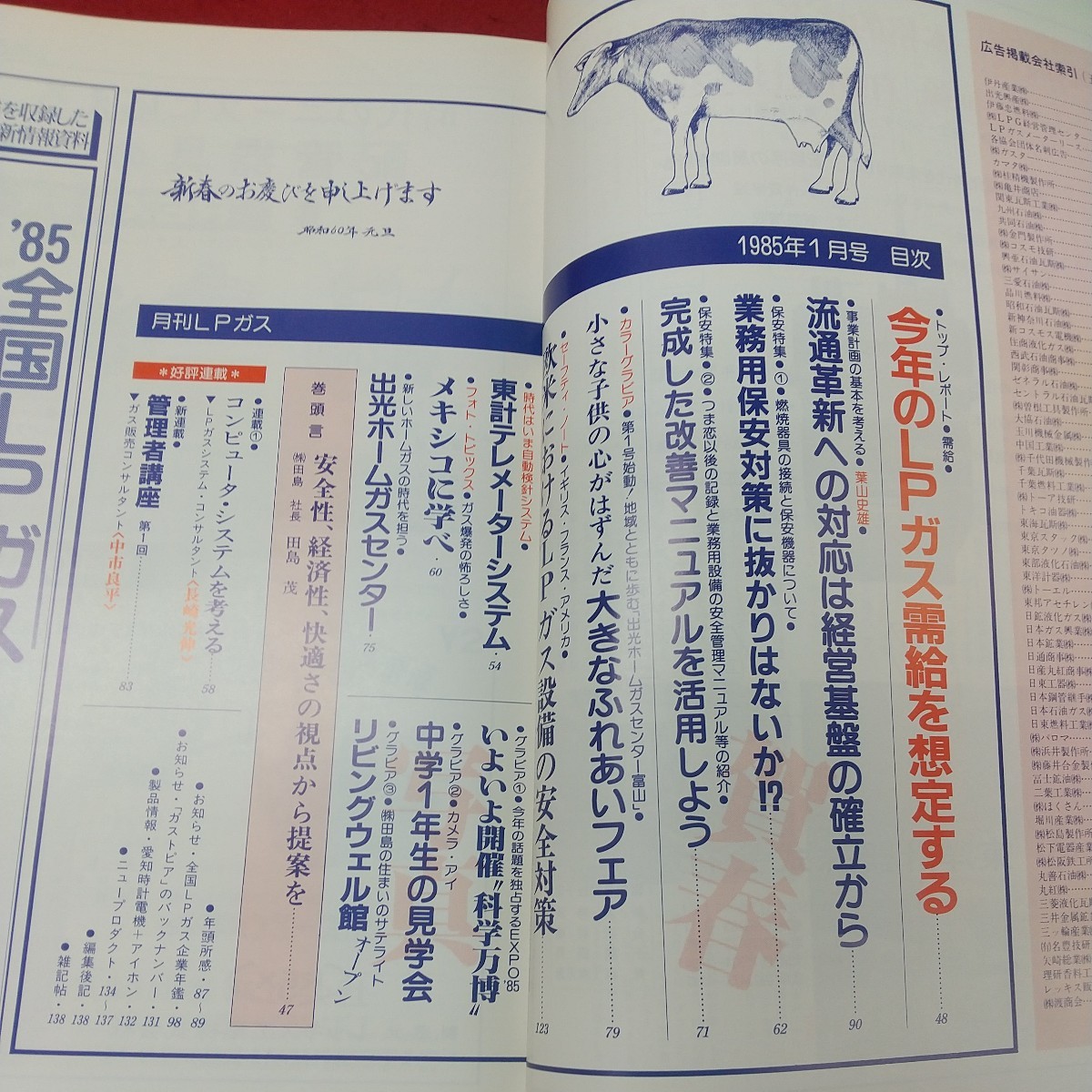 a-539※2 LPガス 1985年1月号 昭和60年1月5日 発行 産業報道出版 雑誌 その他 エネルギー 会社 業界 ガス ビジネス 経営 経済_画像5