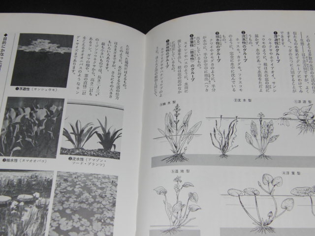 l4■水草 栽培と楽しみ方 立花吉茂/文研出版/1971年発行_画像2