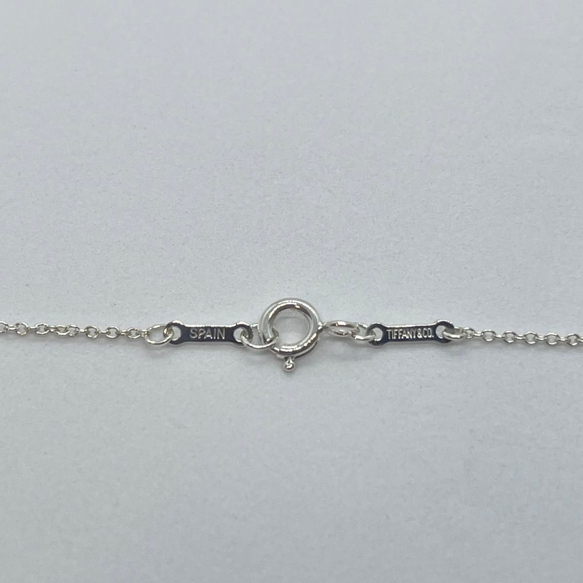 極美品】【レア】Tiffany ティファニー アップルネックレス 極美品】【レア】Tiffany ティファニー アップルネックレス