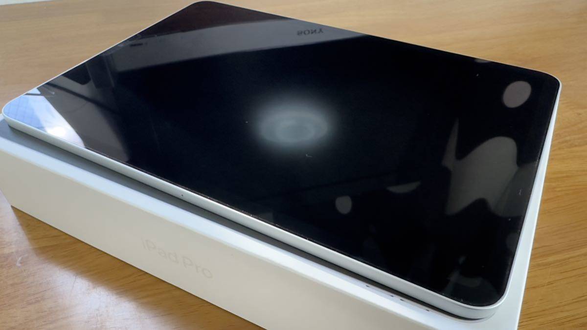 iPad Pro 11インチ wifi 256GBモデル シルバー 2022秋モデル 第4世M2チップモデル 使用約50時間,新品同様_画像3