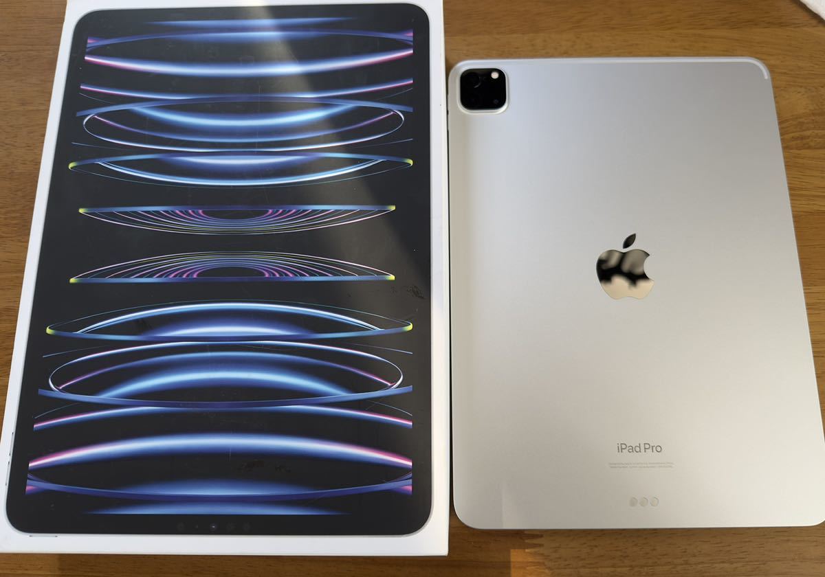 iPad Pro 11インチ wifi 256GBモデル シルバー 2022秋モデル 第4世M2チップモデル 使用約50時間,新品同様_画像1