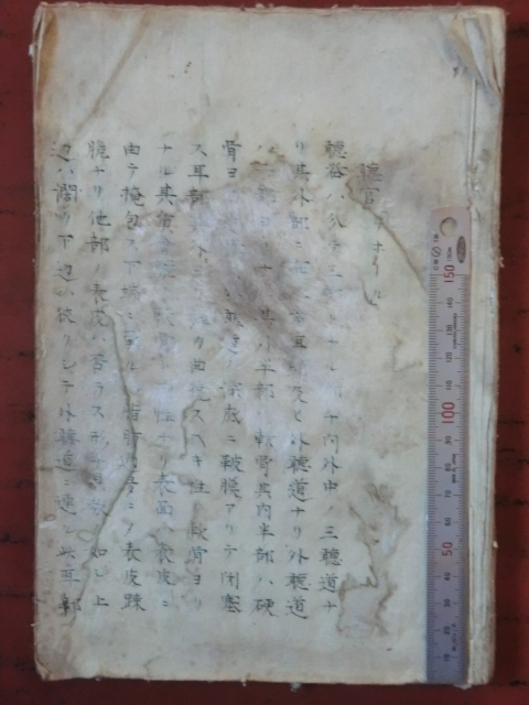 品質のいい 古文書医学書●江戸末期 聴官・生殖器官能論・男性生殖器 57丁 松本良順書? 東京医学病院 原祐民先生保管 長野県伊那市 231210 医学一般