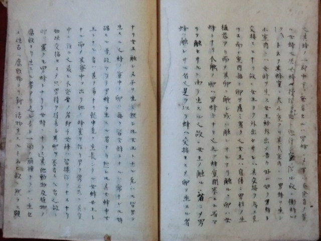 古文書医学書●江戸末期　聴官・生殖器官能論・男性生殖器　５７丁　松本良順書?　東京医学病院　原祐民先生保管　長野県伊那市　231210_画像8