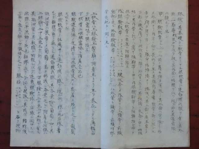 11220円 明治初期古文書医学書○明治5年 布列斯眼球解剖学 全 11220円 明治初期古文書医学書○明治5年 布列斯眼球解剖学 全