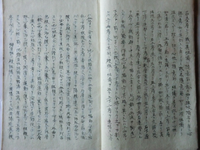 生まれのブランドで 希望者のみラッピング無料】 明治初期古文書医学書○明治5年 医学一般