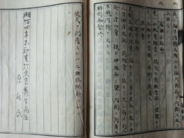 明治初期古文書医学書○明治4年 布列斯解剖書 筋篇総括 73丁 明治初期古文書医学書○明治4年 布列斯解剖書 筋篇総括 73丁
