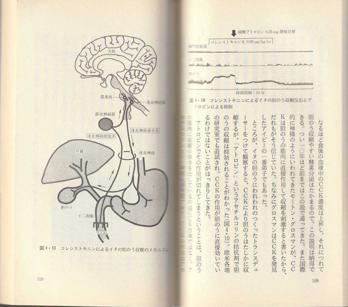 伊藤漸　医は悩んでいる　新赤版　岩波新書　岩波書店　初版_画像2