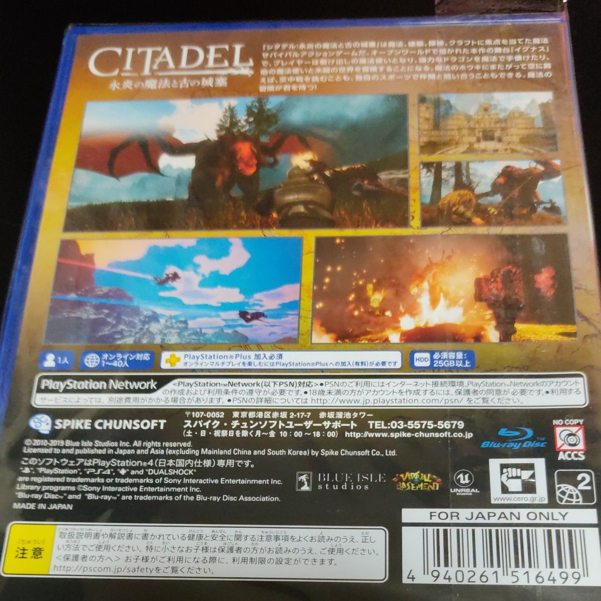 【PS4】 シタデル：永炎の魔法と古の城塞