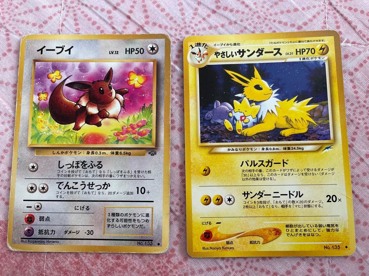 やさしいサンダース イーブイ 旧裏ポケモンカード ポケモン やさしいサンダース イーブイ 旧裏ポケモンカード ポケモン