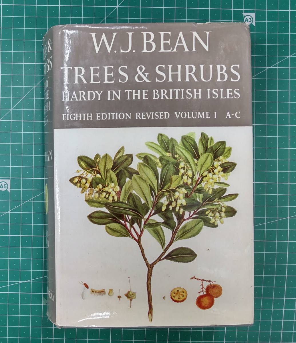 【洋書】ウィリアム・ジャクソン・ビーン W.J.BEAN TREES＆SHRUBS HARDY IN THE BRITISH ISLES EIGHTH EDITION REVISED VOLUMEⅠA-C●H3203_画像1