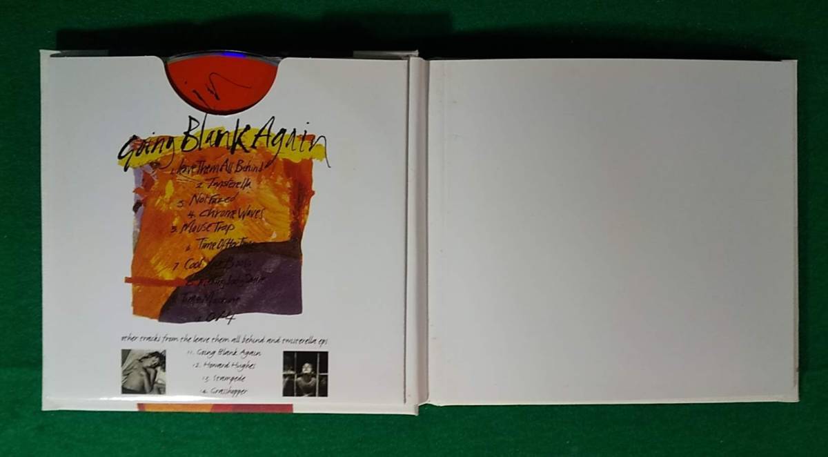 RIDE (ライド) ゴーイング・ブランク・アゲイン 20周年記念エディション CD+DVD◆GOING BLANK AGAIN 20th Anniversary Edition●3211_画像4