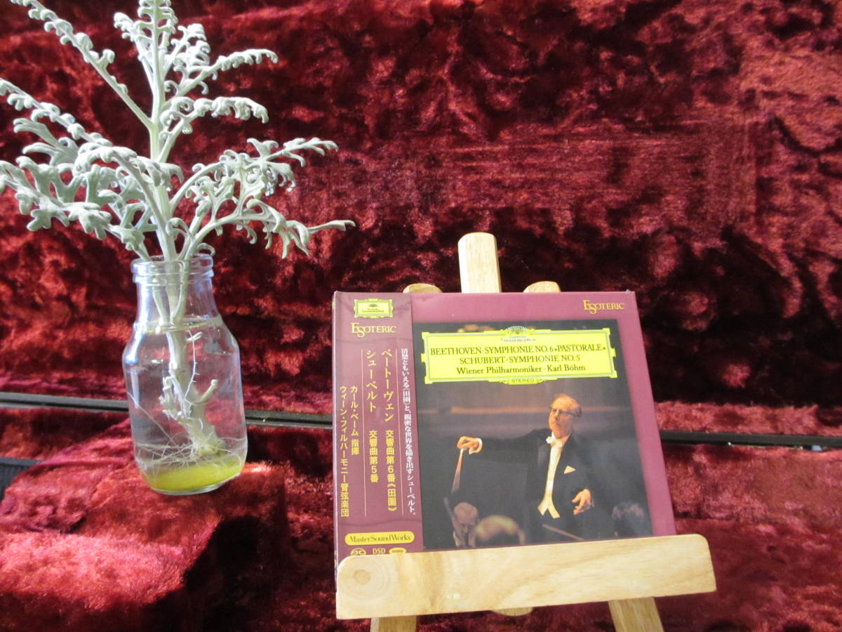 ☆ESOTERIC SACD ESSG-90191 巣篭もり応援特価 正規品 ベートーベン 交響曲No.6「田園」 & シューベルト No.5 ベーム VPO エソテリック