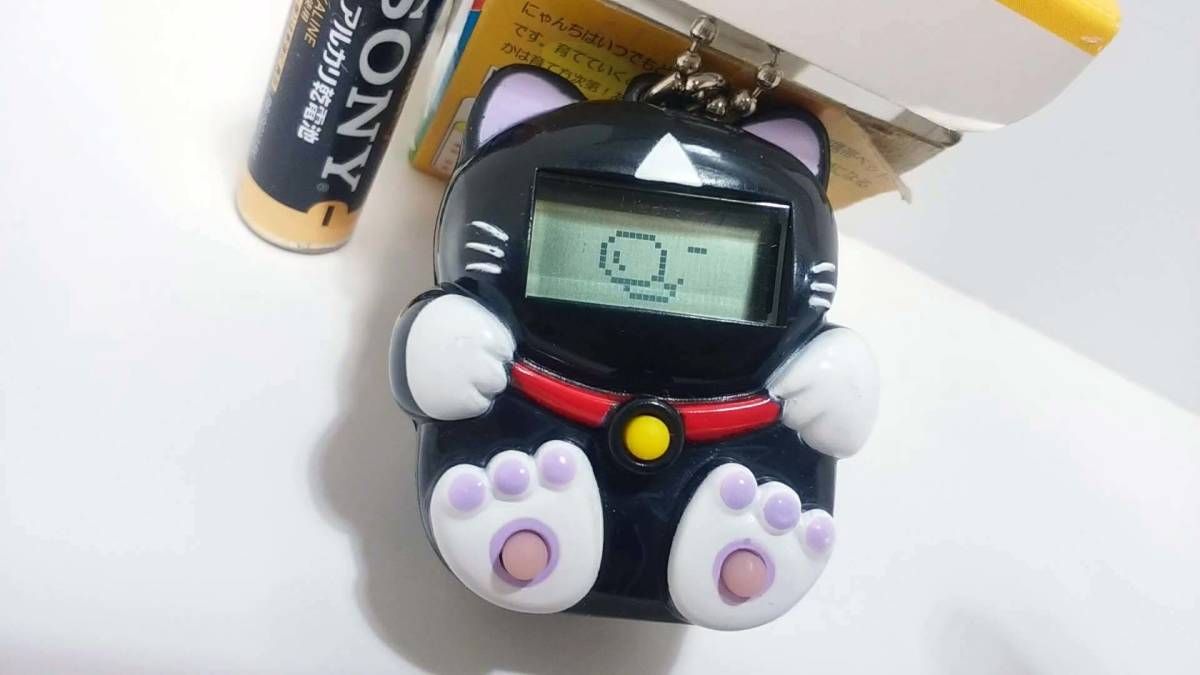 Yahoo!オークション - CAT DIGITAL PET Nyanchi /にゃんち Yahoo!オークション - CAT DIGITAL PET Nyanchi /にゃんち