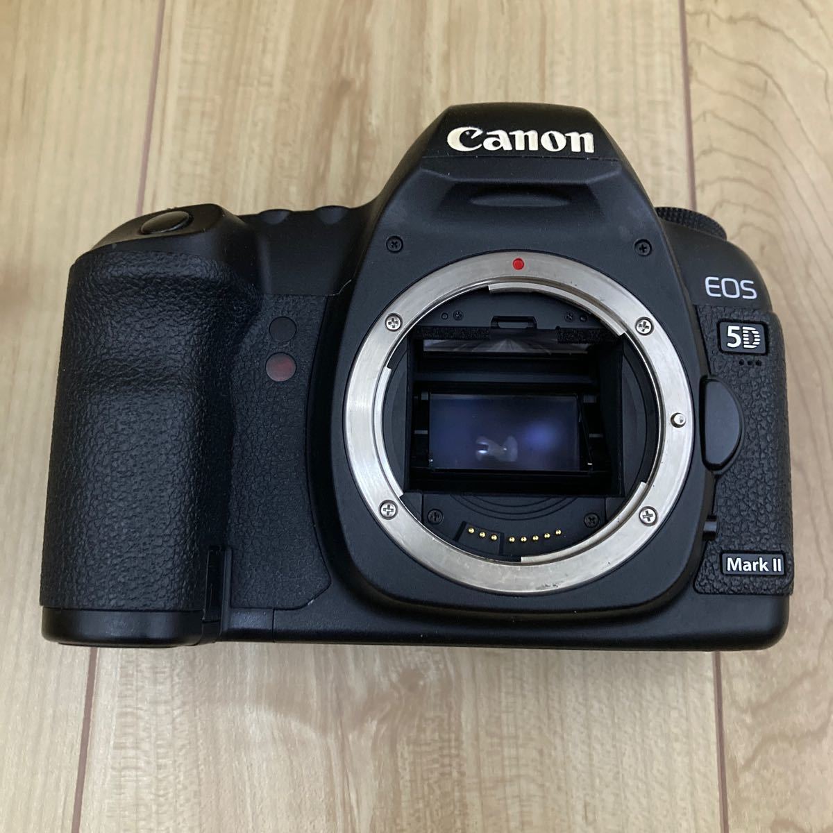 1円〜 Canon EOS 5D Mark Ⅱ ボディ マーク 2 動作も写りもOKです。概ねキレイです。説明書、ストラップ、バッテリー、充電器付きです。_画像9