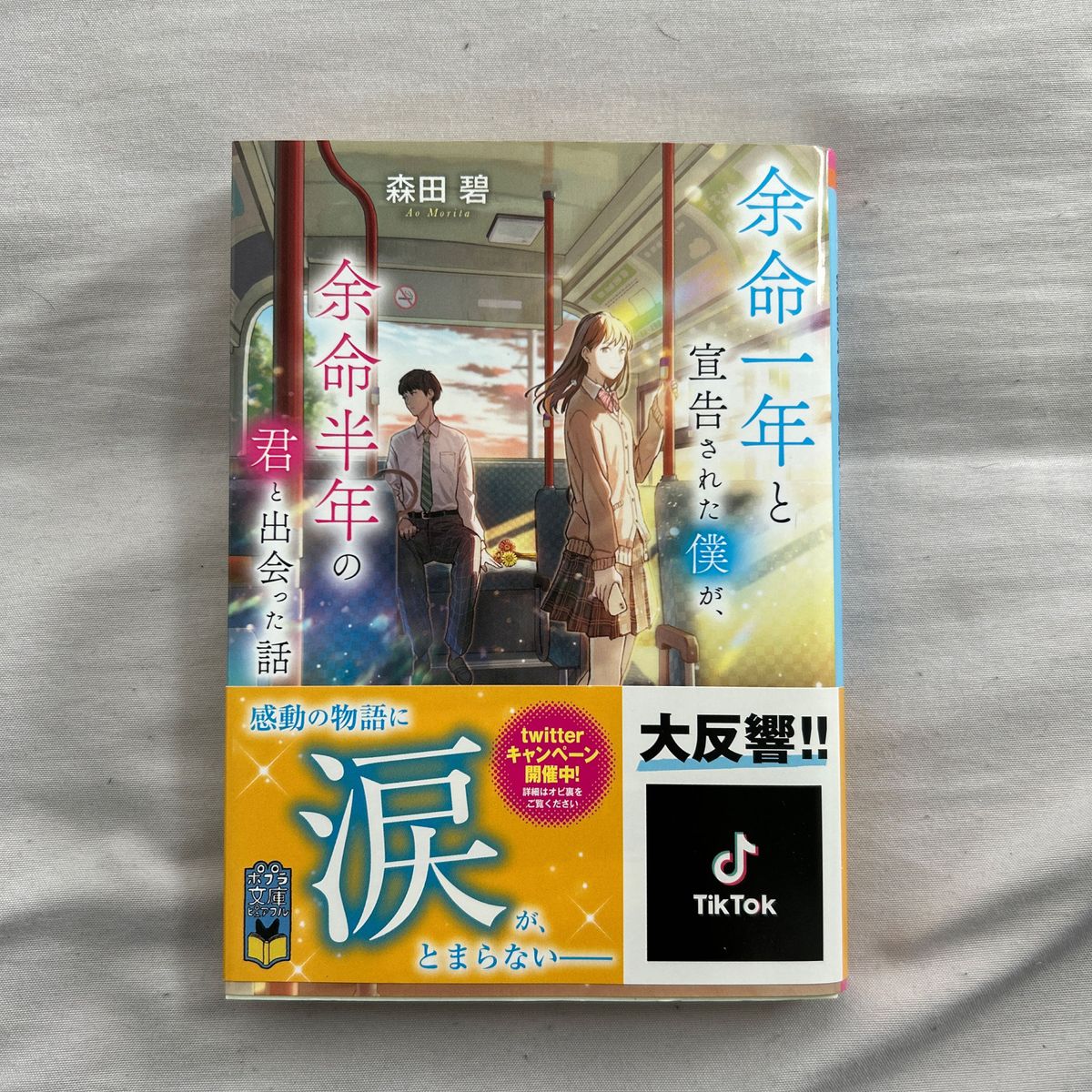 余命一年と宣告された僕が余命半年と君と出会った話