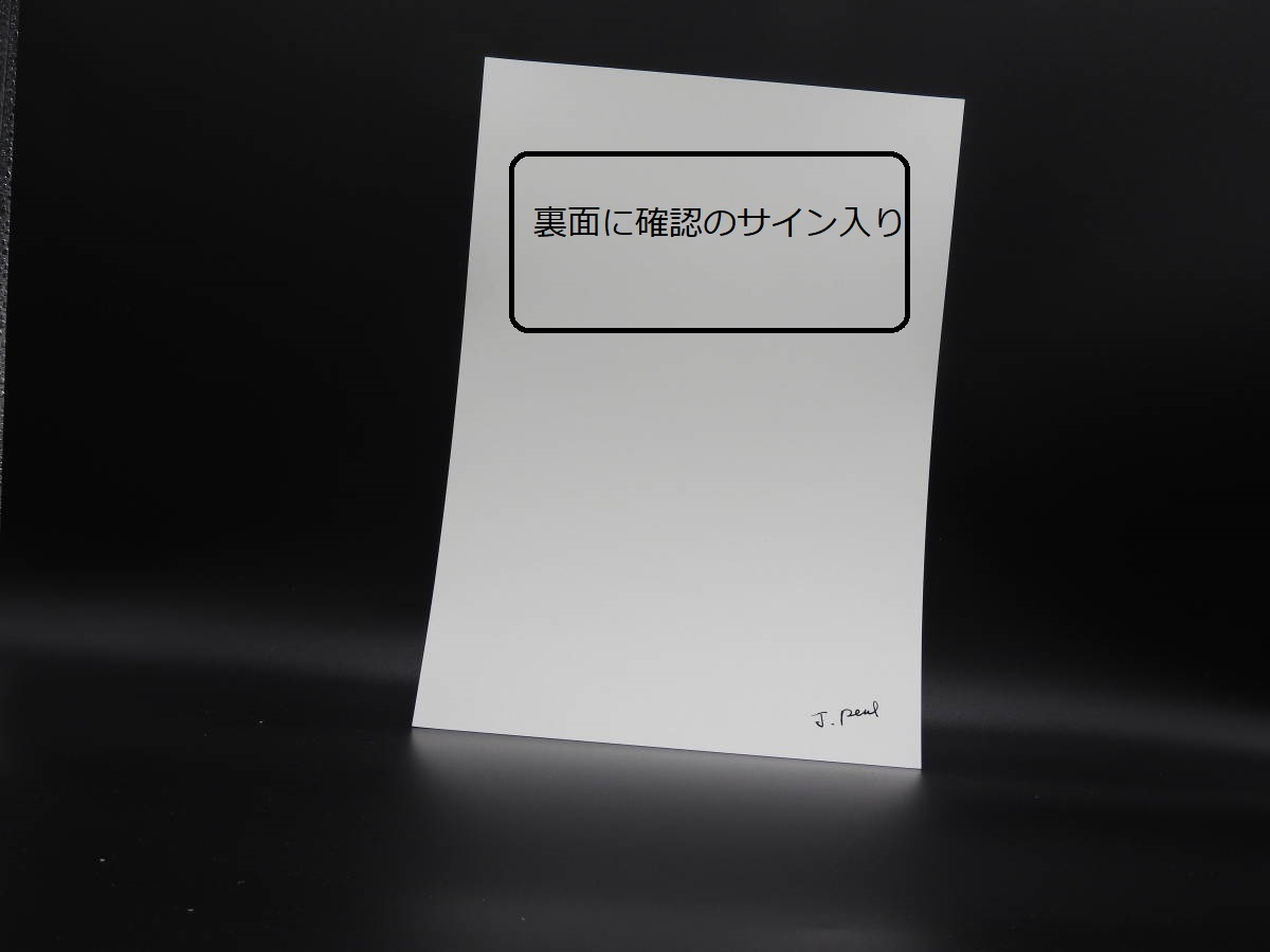 新品　　ウィリアム・ブーグロー「ラムール　ピグエ」の特殊技法高級印刷　　A4版サイズ　額なし　特価９８０円（送料込）即決