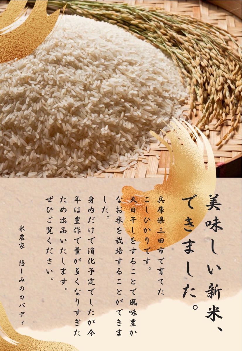 米 コシヒカリ 兵庫県産　三田産 令和5年　新米　玄米　減農薬　産地直送