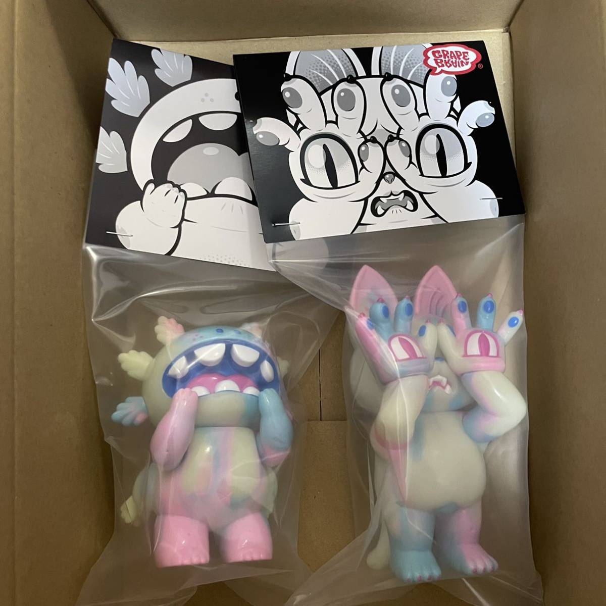 GRAPE BRAIN おにぎり・まかろに 未開封品】 GRAPE BRAIN おにぎり&まかろに FIVE POINT FEST NYC