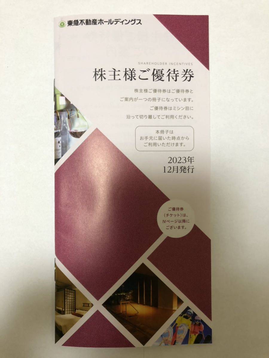 東急不動産　株主優待　100株　1冊　除くスポーツ優待券　有効期限　2024.8.31_画像1