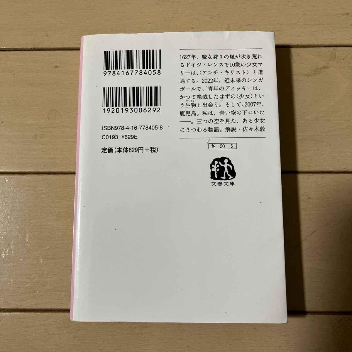 『ブルースカイ』桜庭一樹