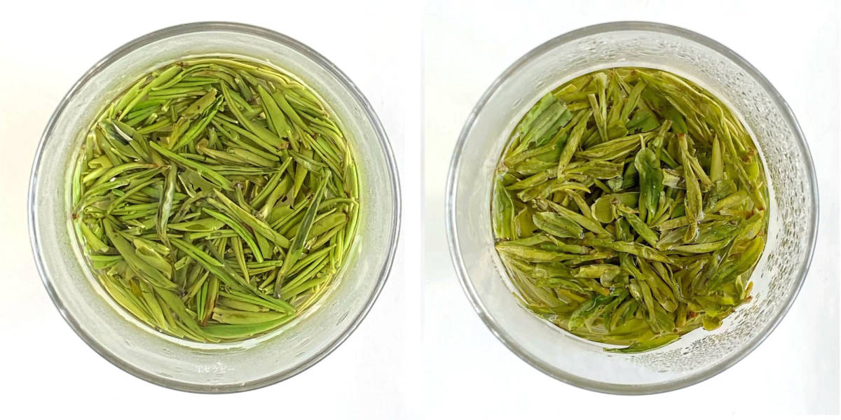 飲み比べ 西湖龍井茶・明前茶 緑茶 20g VS 雀舌緑茶 じゃくぜつ 雀舌 20g_画像3