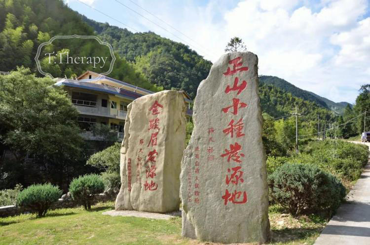 紅茶 中国茶 せいぜんしょうしゅ 燻香正山小種 Lapsang Souchongラプサンスーチョン 50g