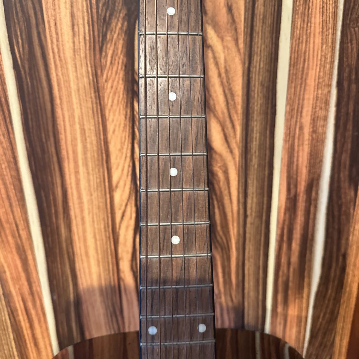 タカミネ/Takamine アコギ T-1ATBS アコースティックギター ソフトケース付き_画像3