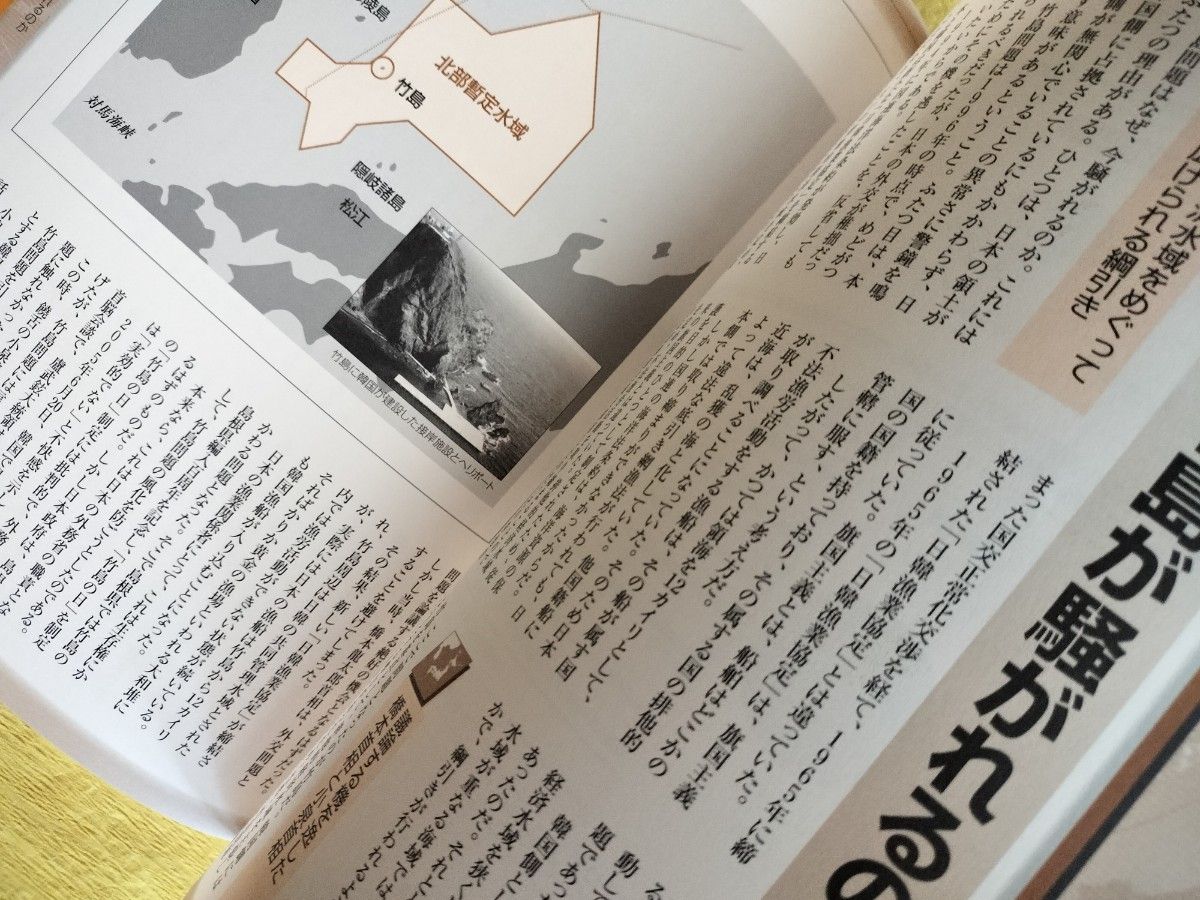図解島国ニッポンの領土問題　激怒する隣国、無関心な日本