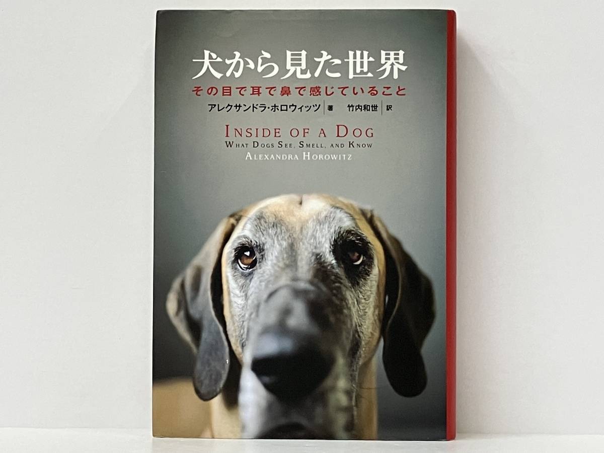 「犬から見た世界 〜その目で耳で鼻で感じていること〜」アレクサンドラ・ホロウィッツ_画像1