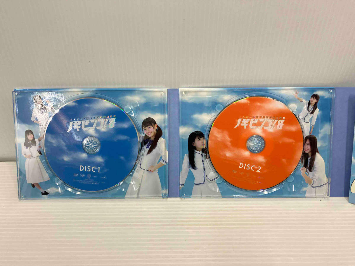 DVD NOGIBINGO!8 DVD-BOX(初回生産限定版)_画像7