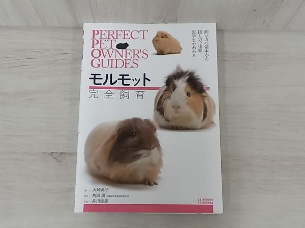 ◆モルモット完全飼育 大崎典子_画像1