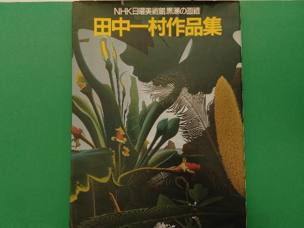 ※傷み有り 田中一村作品集 田中一村_画像1