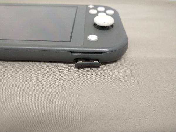ジャンク Nintendo　Switch Lite_画像3