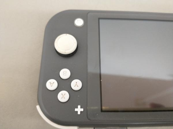 ジャンク Nintendo　Switch Lite_画像6